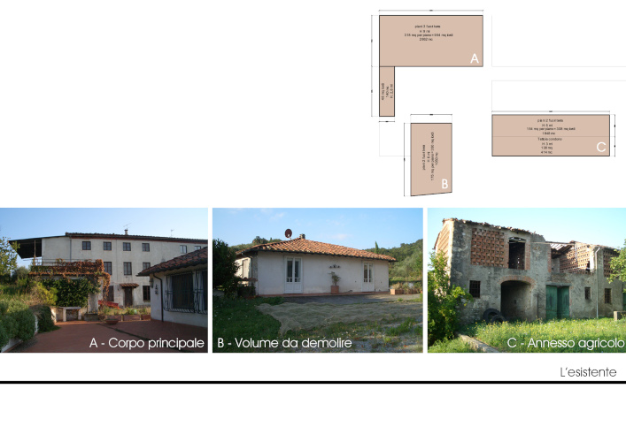 rilievo falcione
