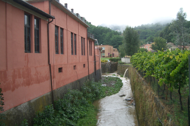 Magazzino allagato oggetto di perizia assicurativa a Lucca