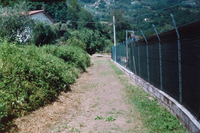 Stradello poderale contestato per accesso a fondi agricoli a Lucca