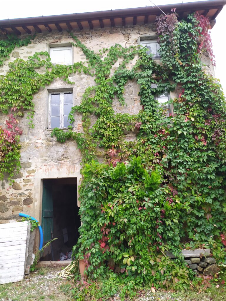 Fabbricato in stato grezzo con lavori incompleti a Lucca
