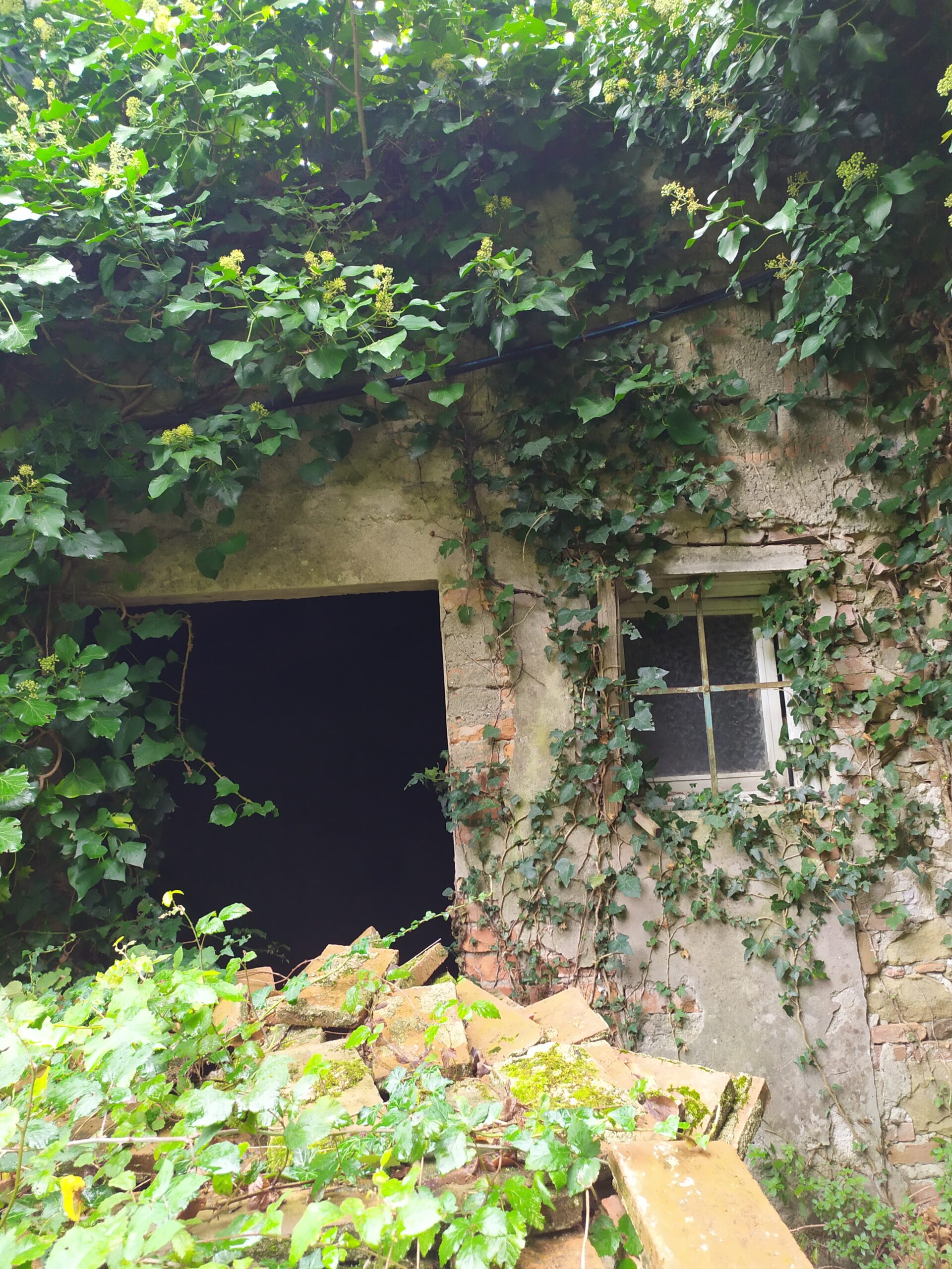 Porzione esterna di immobile rurale in stato di abbandono