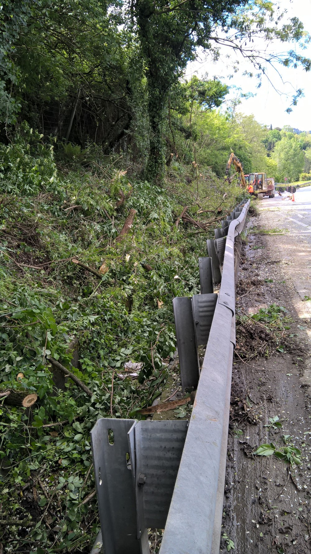 Scarpata con alberature e guardrail lungo strada statale a Lucca